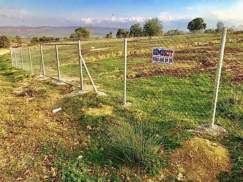 Tel Çit