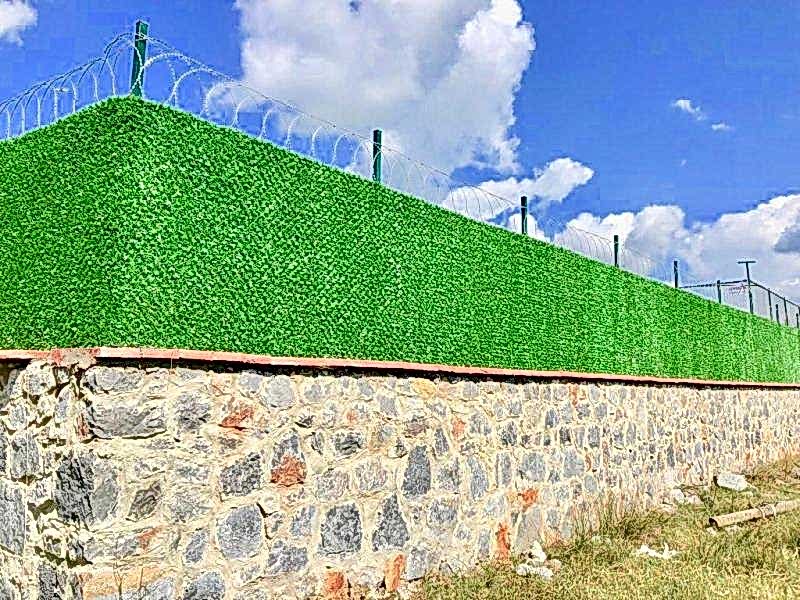 Çim Çit
