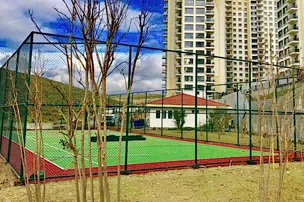 Spor Saha Çitleri