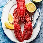 Lobster
