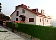 Çim Çit