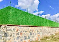 Çim Çit