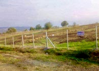 Tel Çit