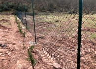Tel Çit