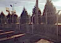 Tel Çit